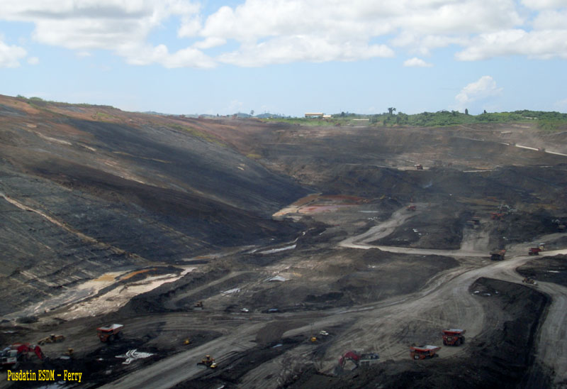 2010: Pertumbuhan Konsumsi Batubara Paling Cepat